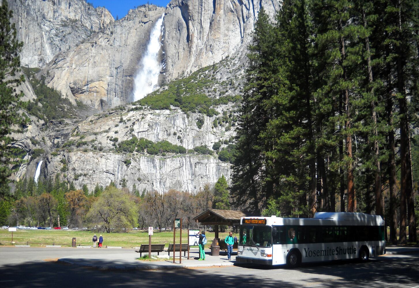 Yosemite National Park