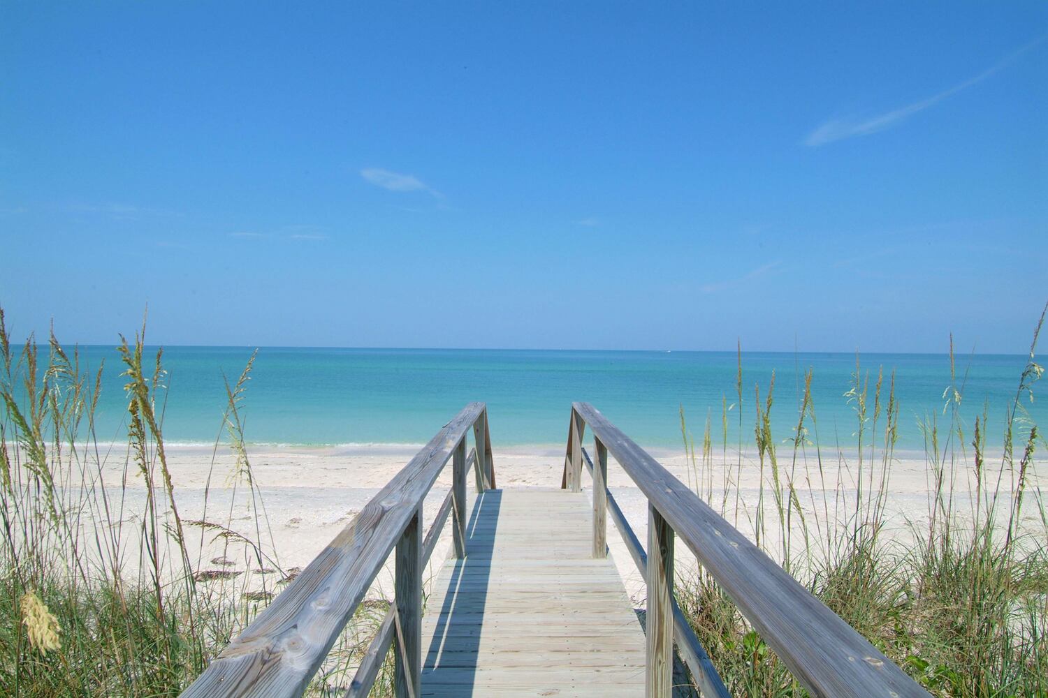 Palm Beach Travel Magazine 2016