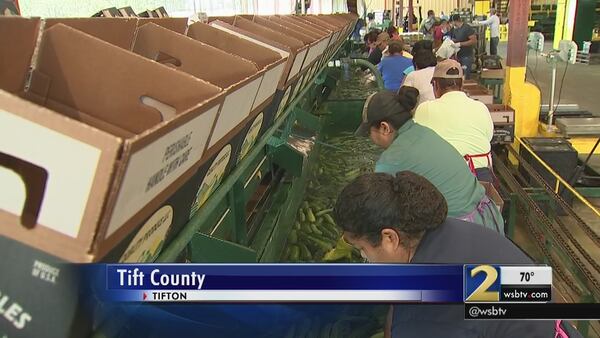 Georgia farmers battle to get migrant workers approved. (Channel 2 Action News/file)