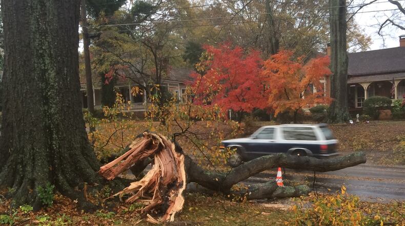 A tree lies in the roadway at the corner of Cherokee and Sessions streets in Marietta.