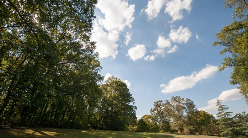 Wylene Tritt’s property spans a quarter mile deep into the woods in Marietta. Tritt is trying to sell her land to Cobb County as a historic park (DAVID BARNES / DAVID.BARNES@AJC.COM)