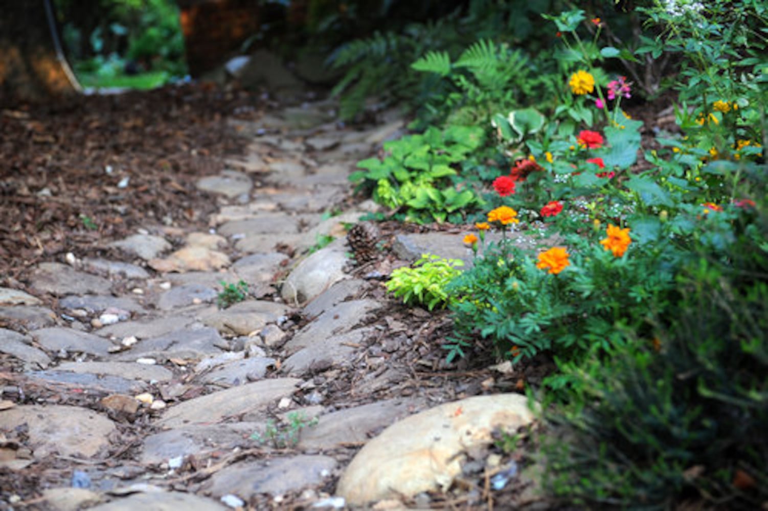 Amazing Space: A greener green space