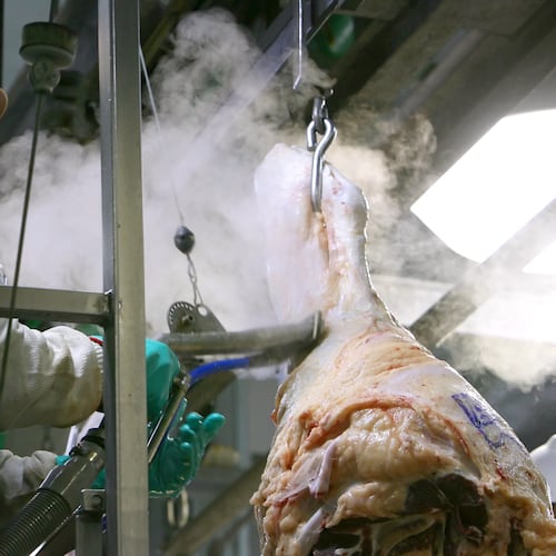A worker on the line uses a steam vacuum on any incision areas on the carcass during a tour of the Tyson meat packing plant in Lexington, Neb., Wednesday, Nov. 14, 2007. (Kent Sievers/Omaha World-Herald via AP)