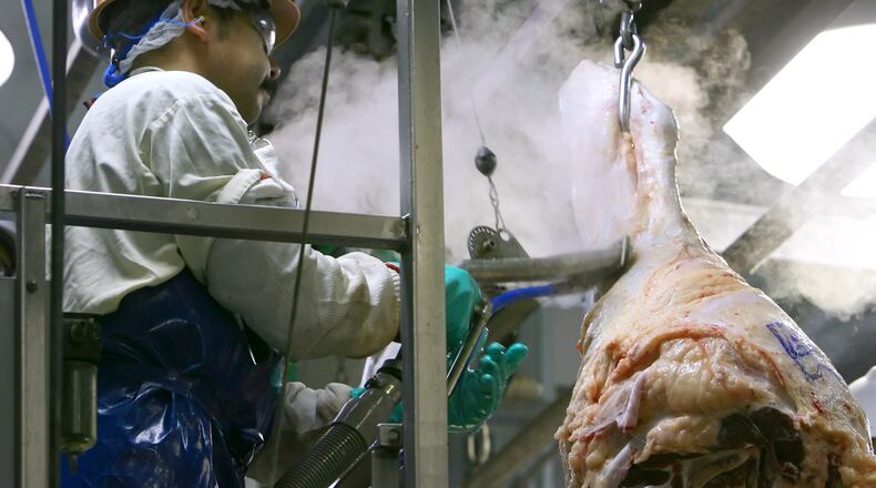 A worker on the line uses a steam vacuum on any incision areas on the carcass during a tour of the Tyson meat packing plant in Lexington, Neb., Wednesday, Nov. 14, 2007. (Kent Sievers/Omaha World-Herald via AP)