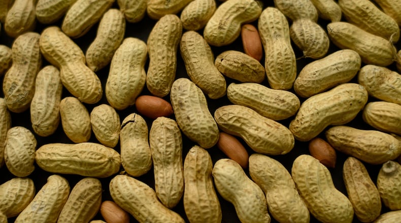 The Georgia Peanut Festival is held annually in Sylvester.