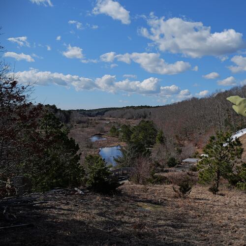 Glorianna Davenport, founder of the Living Observatory, overlooks a stream cutting through Tidmarsh Wildlife Sanctuary in Plymouth, Mass., Saturday, March 14, 2026. (Julia Vaz via AP)