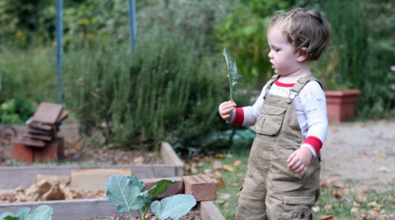 The Oakhurst Community Garden in Decatur began in 1996.