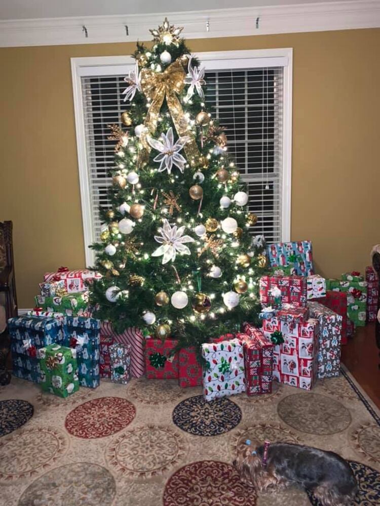 Photos: From elegant to Charlie Brown-style, Atlantans share their Christmas trees