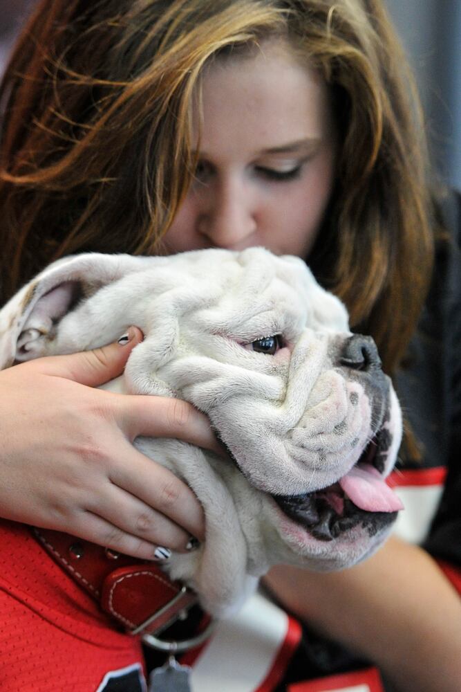 UGA Fan Day