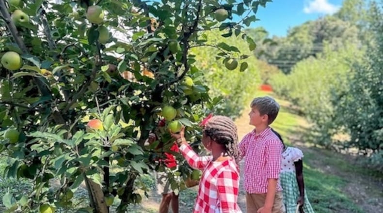 A day trip to Hillcrest Orchards offers guests options that include picking apples, playing cornhole, petting farm animals and indulging in seasonal desserts. Courtesy of Hillcrest Orchards