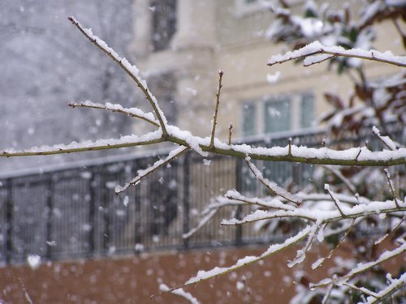 March 1: Reader photos of snow (gallery 2)