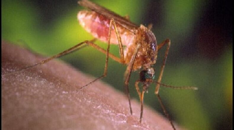 A human case of the West Nile Virus in Brookhaven has been confirmed by the DeKalb County Board of Health.