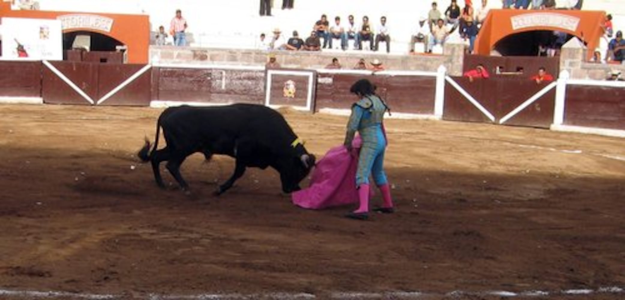 Michelito, the child bullfighter