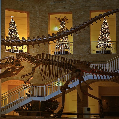 On Friday, Dec. 8, 2023, indulge in 21+-only excitement at Fernbank After Dark: Cocktails & Candy Canes! Unleash your holiday spirit with after-hours exhibit access, WildWoods: AGLOW lights, festive activities, and live tunes by Lola Cole Music.
