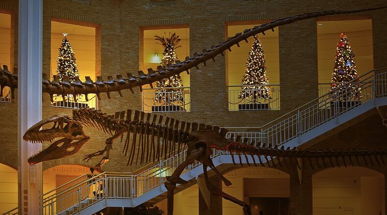 On Friday, Dec. 8, 2023, indulge in 21+-only excitement at Fernbank After Dark: Cocktails & Candy Canes! Unleash your holiday spirit with after-hours exhibit access, WildWoods: AGLOW lights, festive activities, and live tunes by Lola Cole Music.