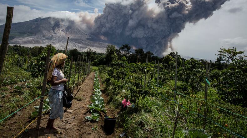 KARO, NORTH SUMATRA, INDONESIA - JUNE 19: A woman stands in her fields as Mount Sinabung spews pyroclastic smoke, seen from Simpang Empat village on June 19, 2015 in Karo District, North Sumatra, Indonesia. According to The National Disaster Mitigation Agency, more than 10,000 villagers have fled their homes since the authorities raised the alert status of Mount Sinabung erupting to the highest level. (Photo by Ulet Ifansasti/Getty Images)