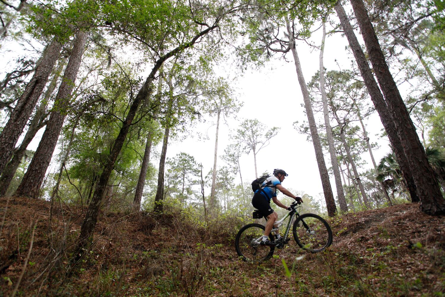 Croom Bike Trail