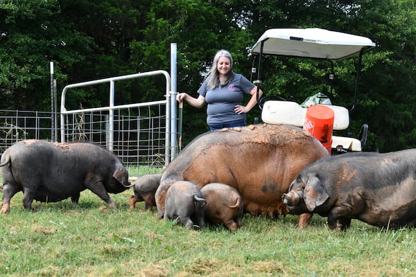 Laura Jensen watches over a herd of Meishan pigs at Jensen Reserve in Loganville. (Hyosub Shin/AJC)