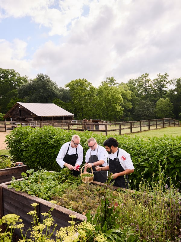 Chef Shaun Doty (center) stands with two other Jules chefs in the garden at Barnsley Resort. (Peter Frank Edwards/Courtesy of Barnsley Resort)
