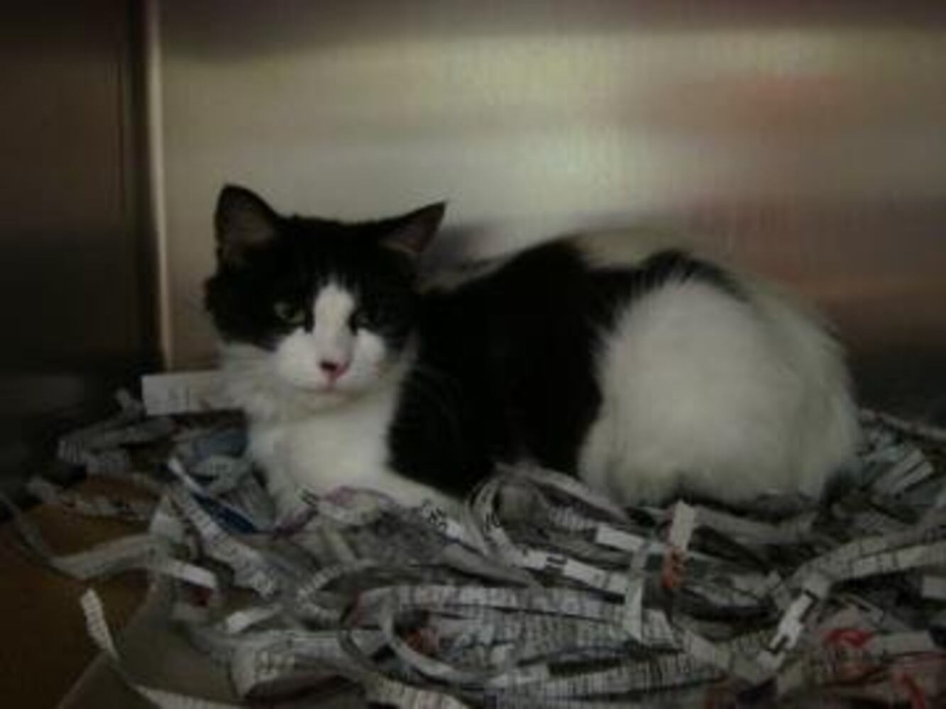 Can you find me a home, please?