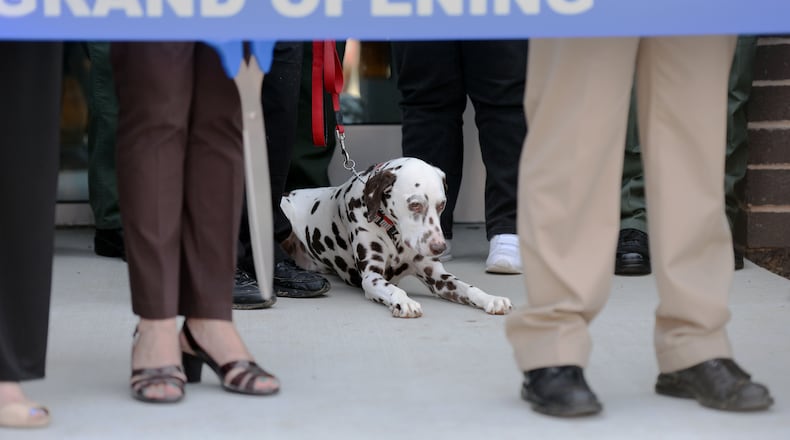 DeKalb County Fire Rescue mascot Cheddar the dalmatian awaits the end of ceremonies as DeKalb County officials, animal advocates and members of the public attend the opening of the county's new $12 million DeKalb animal shelter on Wednesday. KENT D. JOHNSON / AJC