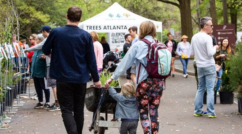 Two Native Plant Sales will be hosted by Trees Atlanta on April 2 and 9 in two locations. (Courtesy of Trees Atlanta)