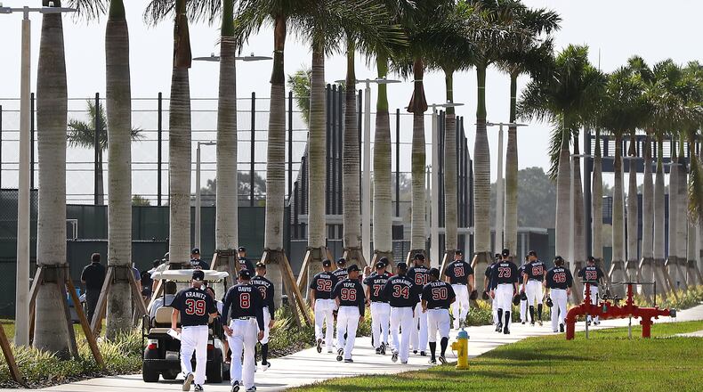 Braves pitchers and catchers pass a long line of palm trees walking out to the practice fields for the first workout at spring training Thursday.