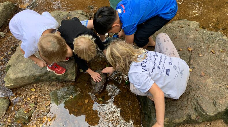 Kids exploring Burnt Fork Creek in Mason Mill Park during an activity for the DeKalb Junior Park Ranger program.