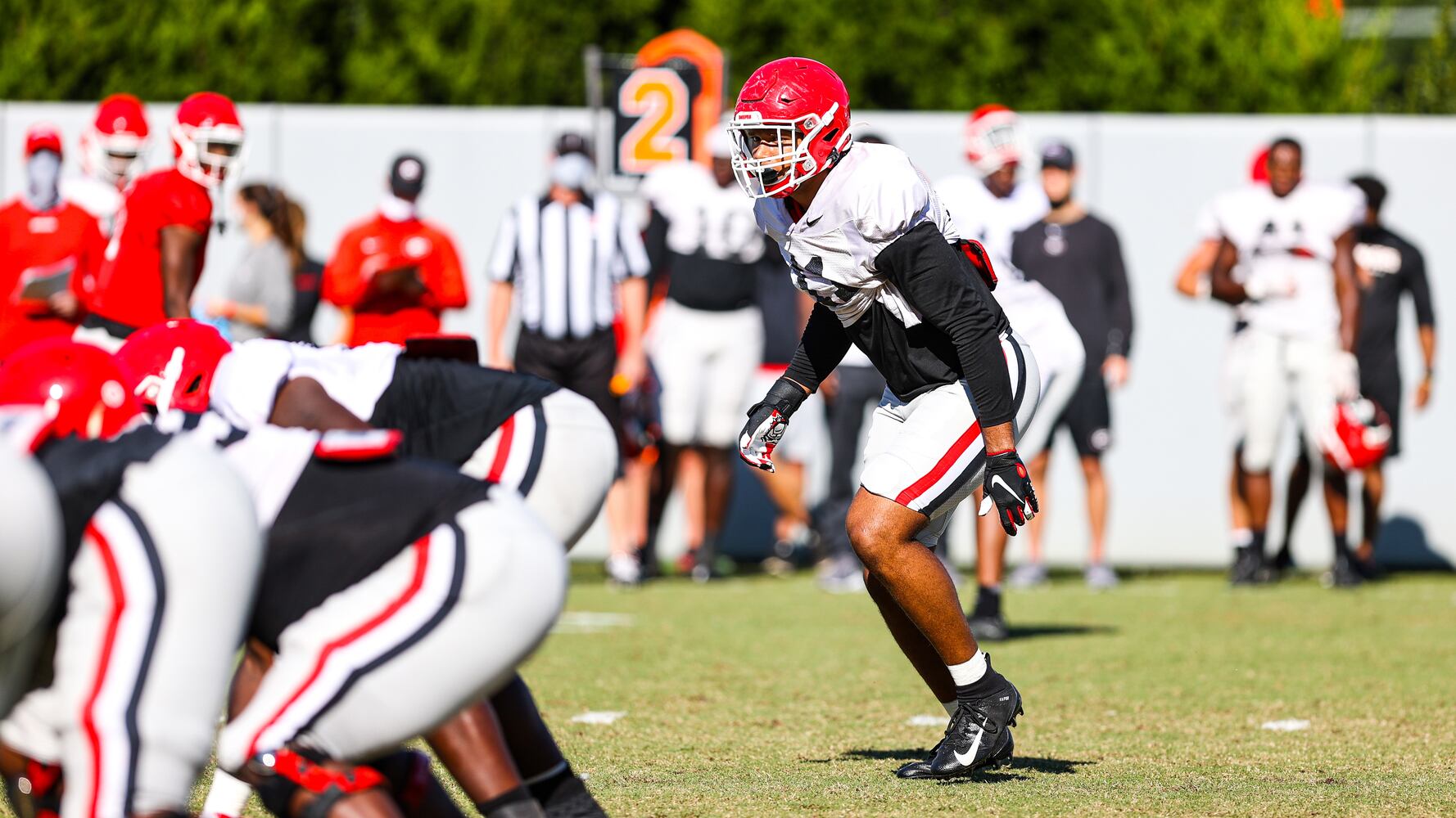 Georgia Bulldogs