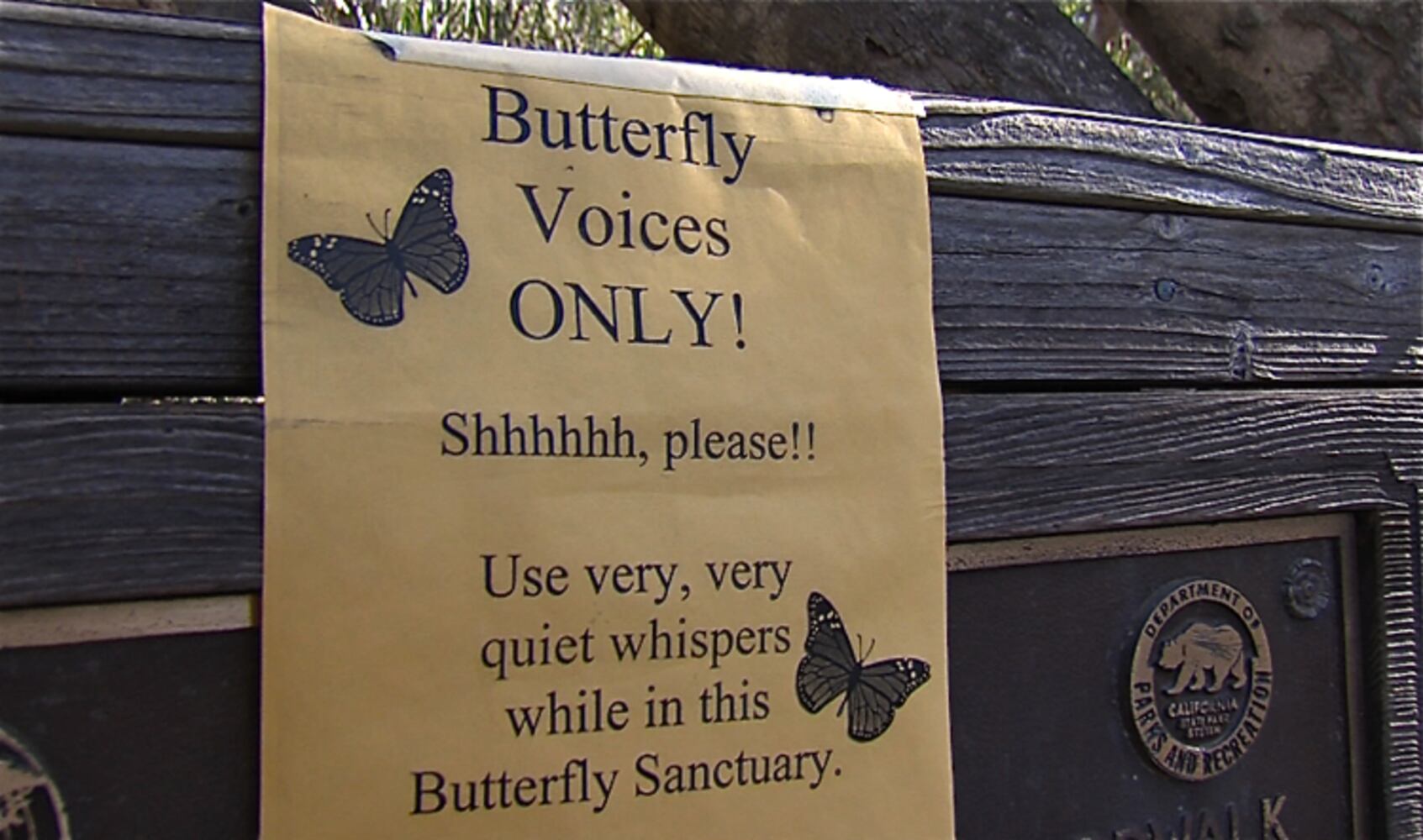 Monarch Butterfly Natural Preserve