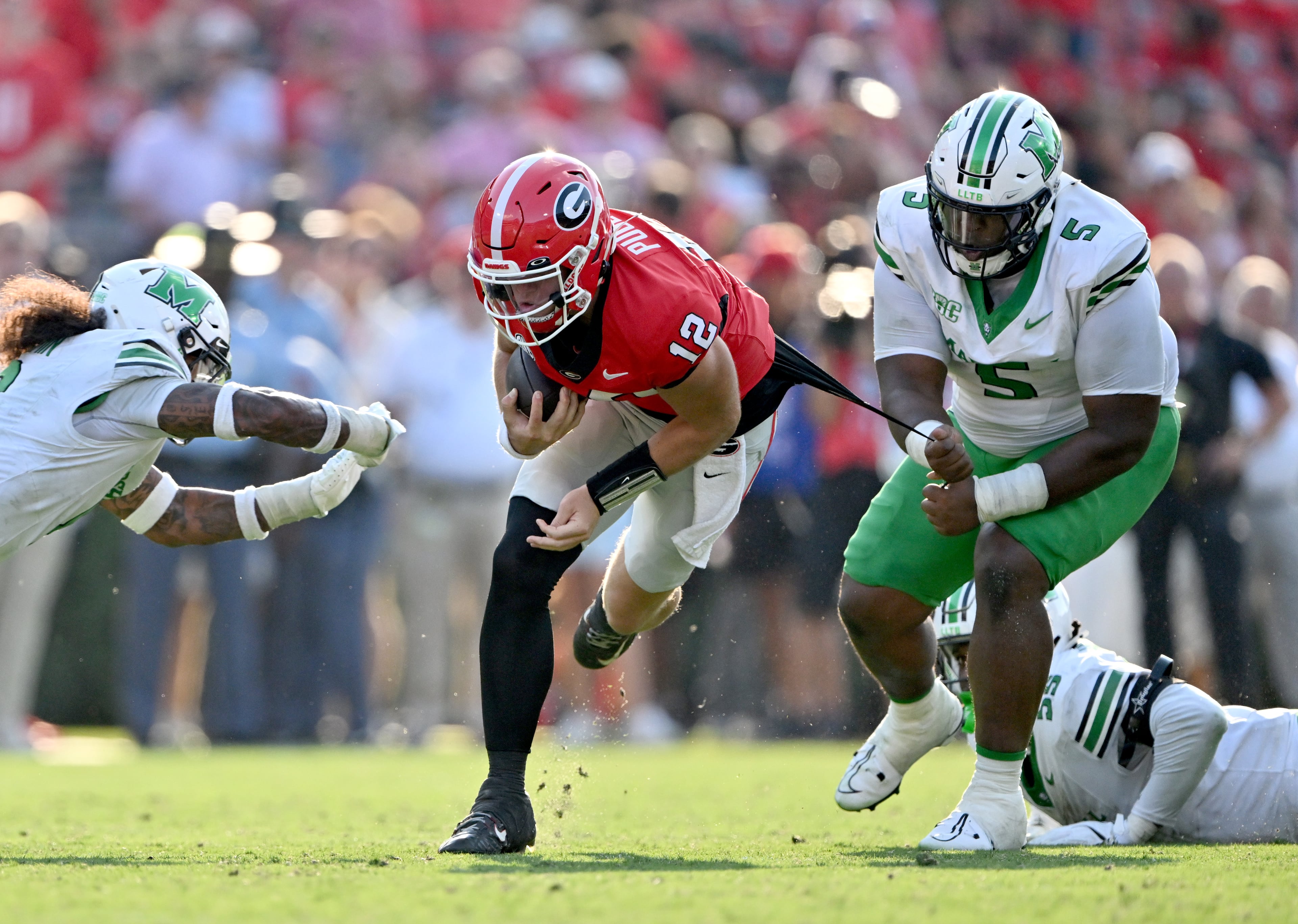 Georgia quarterback Ryan Puglisi (12) runs with the ball as Marshall defensive lineman Katron Evans (5) pulls the jersey of Ryan Puglisi during the second half in an NCAA football game at Sanford Stadium, Saturday, August 30, 2025, in Athens. Georgia won 45-7 overMarshall. (Hyosub Shin / AJC)