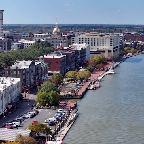 A Savannah-area judge ruled a controversial gun storage law unconstitutional Wednesday, saying it violated the Second and 14th amendments. (Miguel Martinez/AJC)