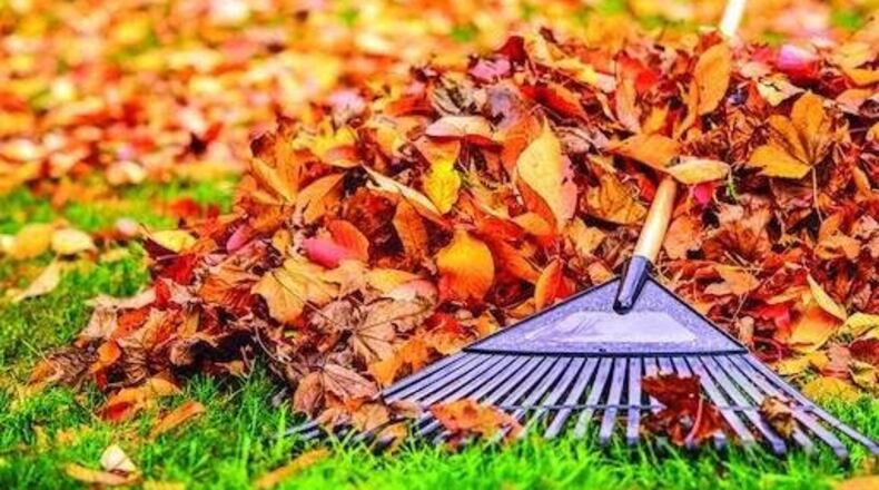 The City of Doraville's curbside Leaf Collection Program will end Friday, Feb. 26.