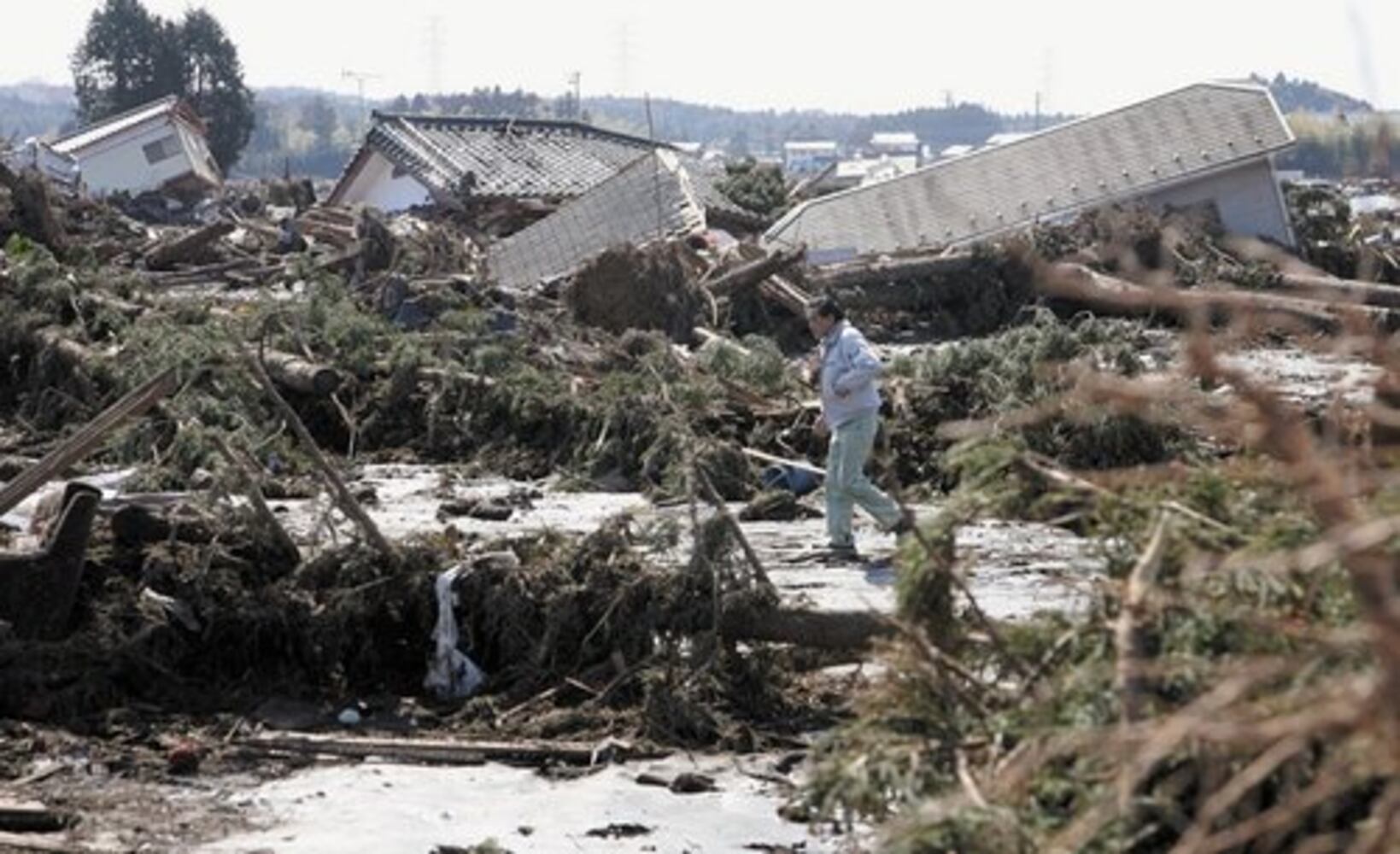 Tsunami devastates Japan