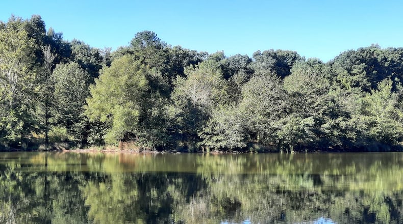 Henry County is restocking fish at Nash Farm Lake, including catfish and bluegill.