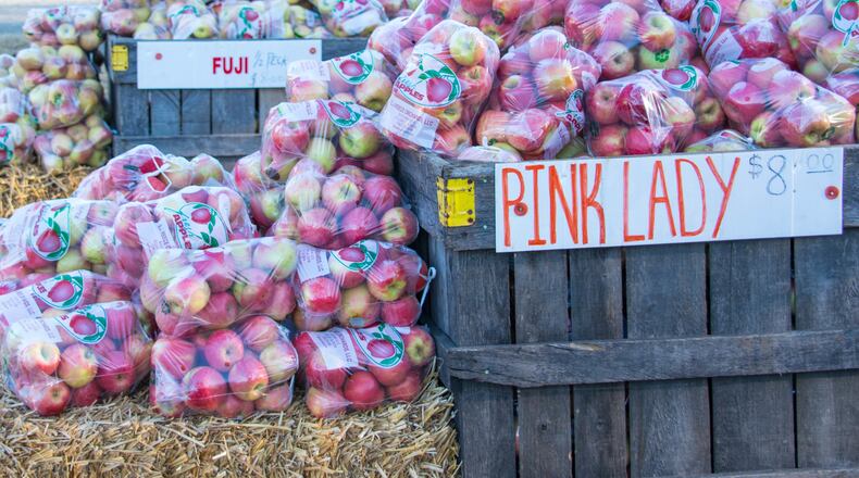 The 45th annual Georgia Apple Festival takes place in Ellijay on the second and third weekend of October, bringing more than 40,000 visitors to the tiny town.