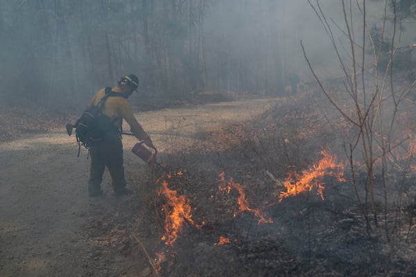 A firefighter lights a protective backburn fire to control the Black Cove Fire Wednesday, March 26, 2025, in Saluda, N.C.. (AP Photo/Allison Joyce)