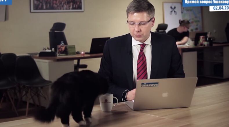 One cat didn't care about politics and just wanted a drink.