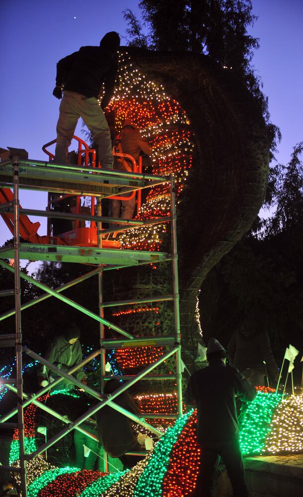 Garden Lights