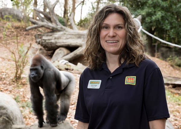 Jodi Carrigan, Zoo Atlanta’s curator of primates, has trekked with gorillas more than a dozen times. (Courtesy of Zoo Atlanta)