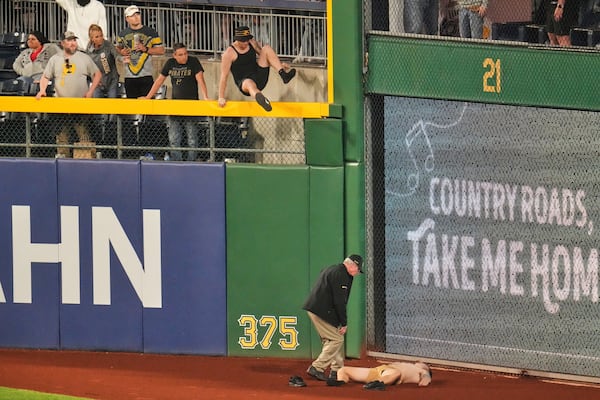 A fan lies on the warning track in right field of PNC Park after falling out of the stands during the seventh inning of a baseball game between the Pittsburgh Pirates and the Chicago Cubs in Pittsburgh, Wednesday, April 30, 2025. (AP Photo/Gene J. Puskar)