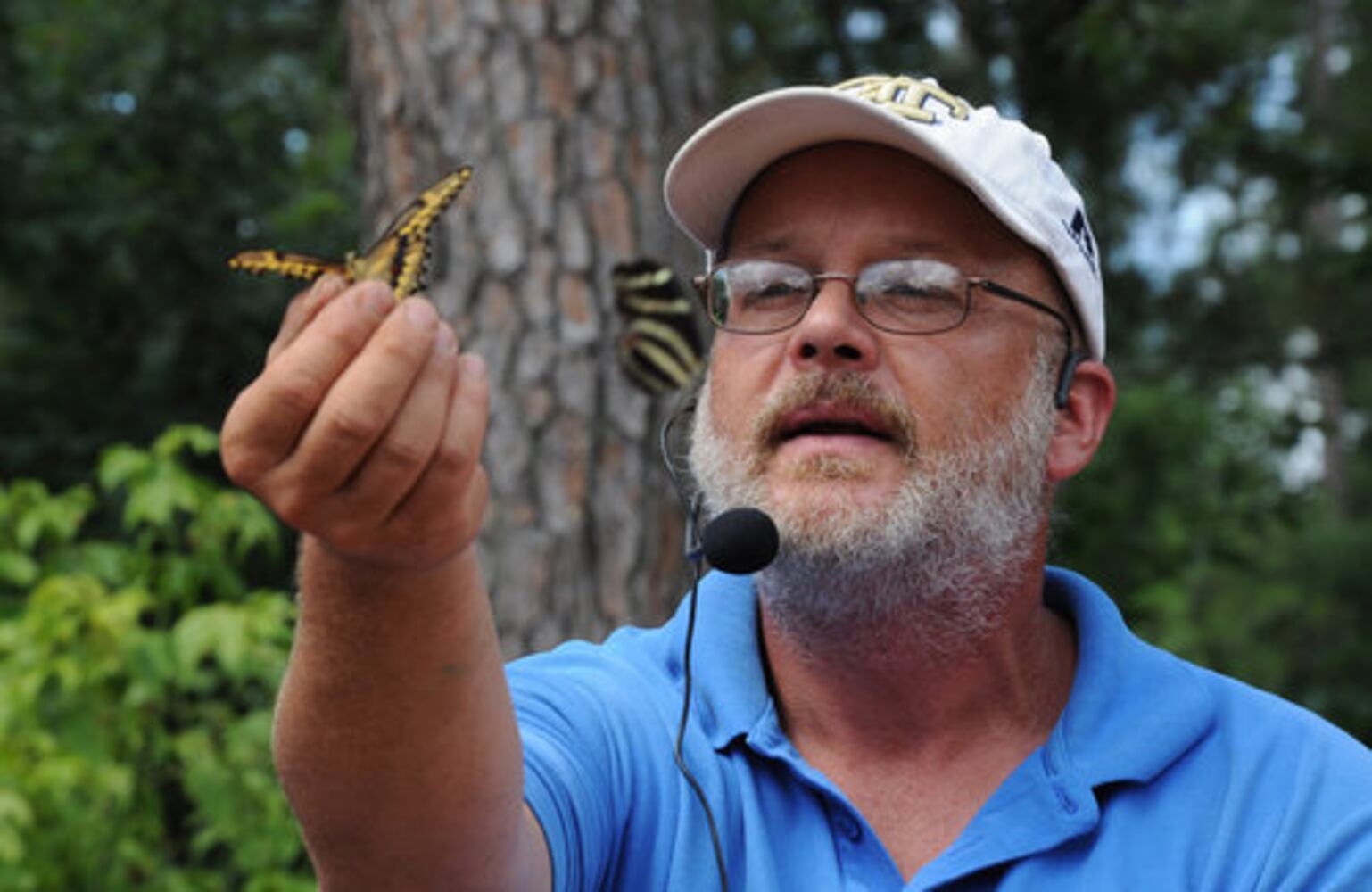 Flying Colors Butterfly Festival