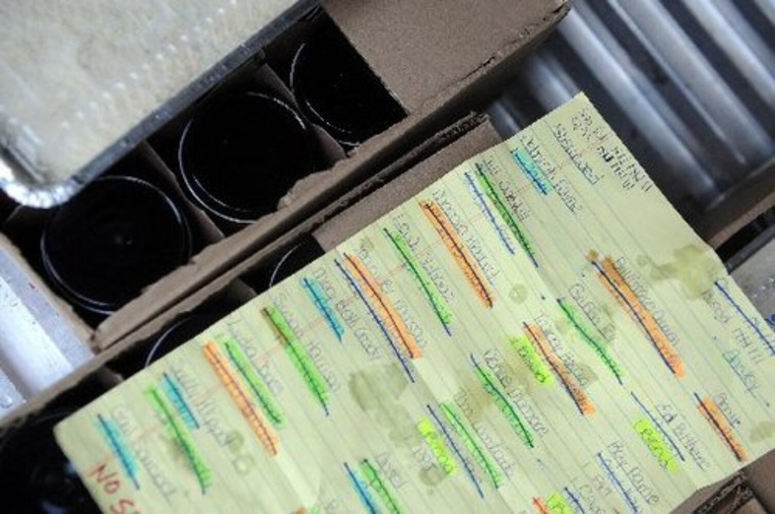 Atlanta businesswoman takes her pasta on the road