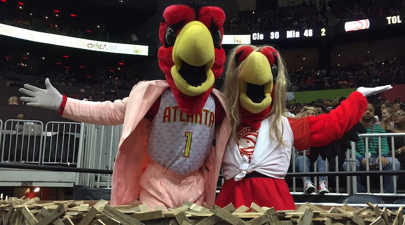 Harry the Hawk was hanging out with a potential new love interest.PHOTO BY HELENA OLIVIERO