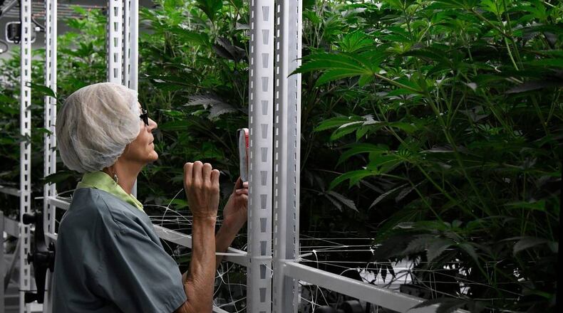 Cannabis production company Fine Fettle starts production in Macon. Staff members led a tour to show every stage in creating their product. (Photo Courtesy of Katie Tucker)