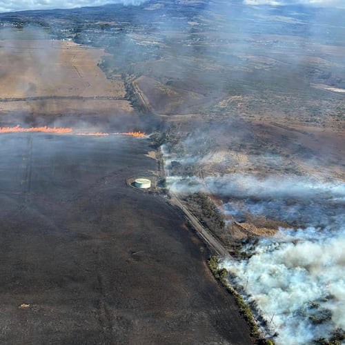 FILE - This photo provided by the County of Maui shows a wild fire in Maui, Hawaii, Sept. 23, 2025. (The County of Maui via AP, File)