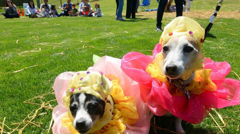The Brookhaven Cherry Blossom Festival features a variety of events and attractions.