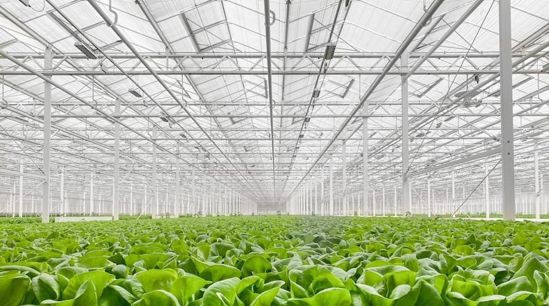 Gotham Greens builds and operates hydroponic greenhouses and will open its first Southeast location in Monroe.