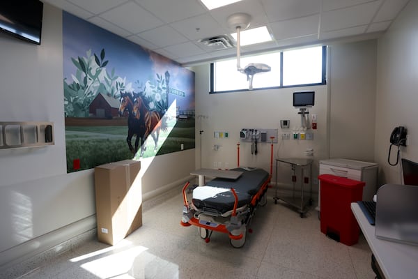 A mural is shown in an exam room at the Grady South Emergency Department in Union City. (Jason Getz/AJC)