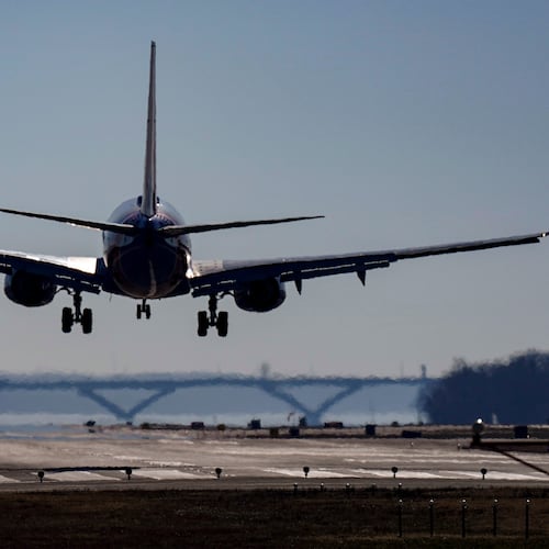 FILE - A plane lands at Ronald Reagan Washington National Airport in Arlington, Va., Dec. 30, 2022. (AP Photo/Carolyn Kaster, File)